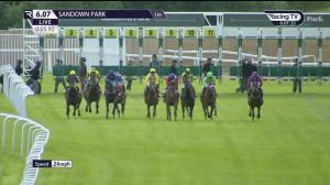 Video preview image for Sandown Park 18:07 - World Horse Welfare Handicap (4)