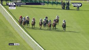 Video preview image for Goodwood 16:40 - Racehorse Shares From £45 At racingclub.com Handicap (4)