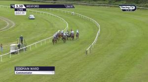 Video preview image for Wexford 17:30 - Wexford Racecourse Rated Hurdle