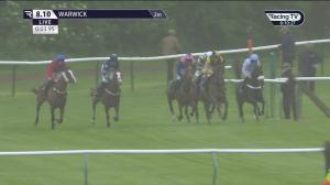 Video preview image for Warwick 20:10 - Newton Ldp Mares' Handicap Hurdle (4)