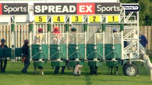 Video preview image for Catterick Bridge 19:25 - Download The Raceday Ready App Handicap (6)
