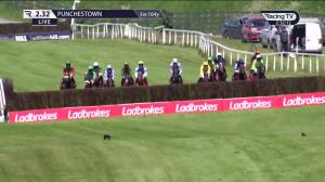 Video preview image for Punchestown 14:32 - Ladbrokes Handicap Chase