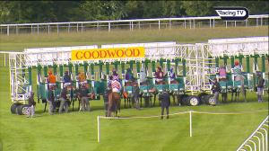 Video preview image for Goodwood 16:30 - Rod Gaskin Garden MacHinery Handicap (3)