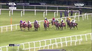 Video preview image for Sandown Park 14:05 - Molson Coors Beverage Company Handicap (Qualifier) (4)