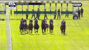 Video preview image for Sandown Park 16:25 - Stuart Robert Alan Williams Memorial Handicap (5)