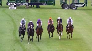 Video preview image for Gowran Park 14:05 - Gowran Park Fillies Maiden