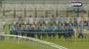Video preview image for Newmarket 16:00 - Packhorse Moulton Supports Racing Welfare Handicap (3)