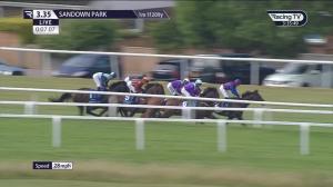 Video preview image for Sandown Park 15:35 - Coral-Eclipse (Group 1) (1)