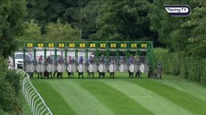 Video preview image for Down Royal 17:42 - Proparamedics Handicap