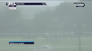 Video preview image for Wexford 14:28 - Wexford Mares Beginners Chase