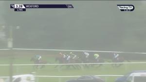 Video preview image for Wexford 15:28 - Adare Manor Opportunity Handicap Chase