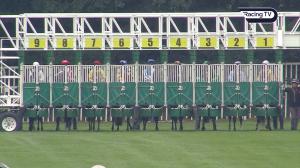 Video preview image for Nottingham 14:35 - Follow Us On X @betrhino Handicap (6)