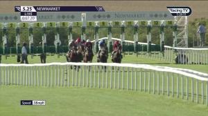 Video preview image for Newmarket 17:25 - Maritime Cargo Services Ocean Freight Frenzy Selling Stakes (4)