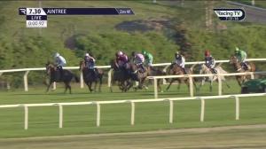Video preview image for  19:30 - Ha Civils Franny Blennerhassett Memorial Mares' Handicap Hurdle