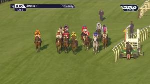 Video preview image for  20:05 - Liverpool Zoes Place Handicap Hurdle