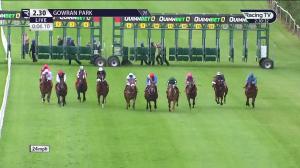 Video preview image for Gowran Park 14:30 - Golf At Gowran Park Handicap