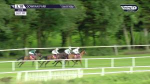 Video preview image for Gowran Park 17:10 - Thomastown Race