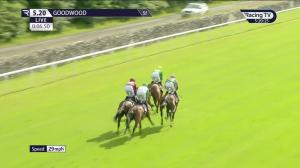 Video preview image for Goodwood 17:20 - Bet Clever Betgoodwin EBF Maiden Stakes (GBB Race)