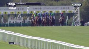 Video preview image for Newmarket 17:25 - Win With Zyn Handicap