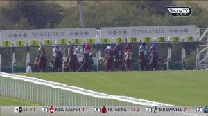 Video preview image for Newmarket 17:57 - Zyn Handicap