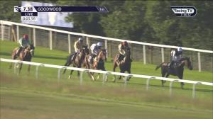 Video preview image for Goodwood 19:38 - Betgoodwin Top UK Online Bookie Handicap