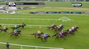 Video preview image for Wexford 17:00 - Molloy Metal Recycling Handicap Chase (0-100)