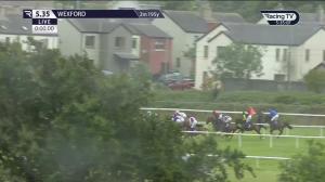 Video preview image for Wexford 17:35 - Omnipro Flat Race