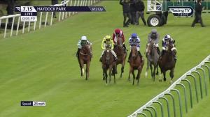 Video preview image for Haydock Park 19:15 - Cjm Maintenance EBF Fillies' Novice Stakes (GBB Race)