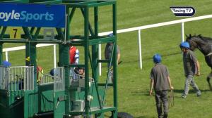 Video preview image for Limerick 17:00 - Private Suites At Limerick Racecourse Handicap