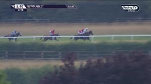 Video preview image for Newmarket 20:40 - Hallgarten Wines Handicap (Gbbplus Race)