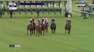 Video preview image for Ayr 16:40 - San Miguel Handicap