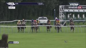 Video preview image for Ayr 17:15 - Guinness Handicap