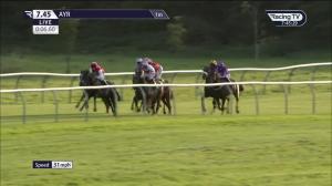 Video preview image for Ayr 19:45 - Book Christmas Day At Western House Handicap