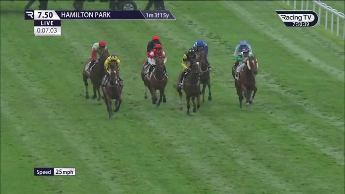 Hamilton Park Racecourse Results Racecards Hamilton Park Racecourse Results Racecards